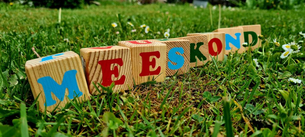 20240602 144327 1024x461